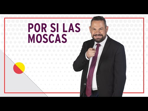 Feminismo desde el margen, Dahlia de la Cerda. Por si las moscas sábado 29 de abril de 2023.