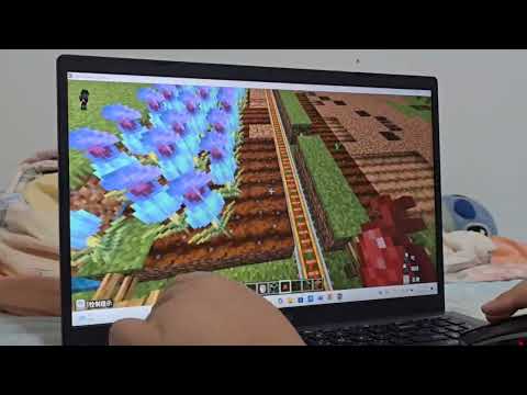 新市國小 麥塊SDGs聯合國永續發展目標 林O仰-麥塊SDGs程式競賽-113學年第一學期