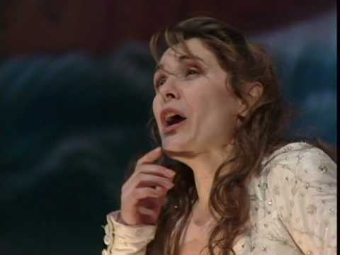 Cavalli - La Calisto 'Restino Imbalsamate'. Bayo