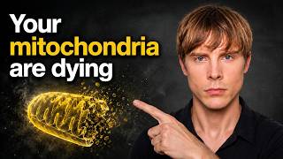 Mitophagy Explained: Exercise Beats Supplements — Full Breakdown & Transcript
