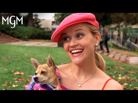 Elle Wood’s Back-to-School Guide