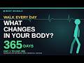 Walking Every Day What Changes In Your Body From Day 1 To Day 365