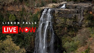 Lisbon Falls Relaxing Live Stream Full HD Africam live webcam