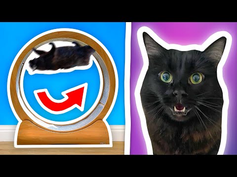 Testing WEIRD CAT Products