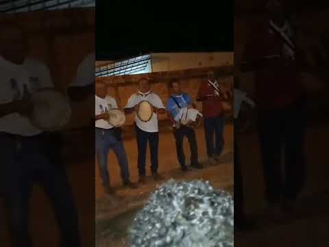 Folia de Nossa Senhora da Conceição -Campos Belos -GO.2025