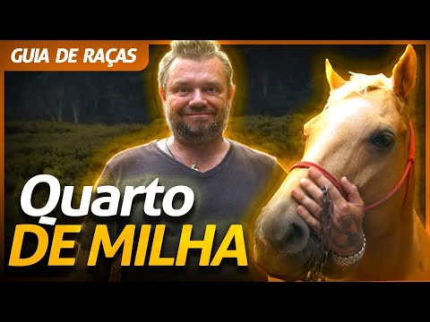 , title : 'QUARTO DE MILHA, A RAÇA NÚMERO 1 DO BRASIL! | RICHARD RASMUSSEN'