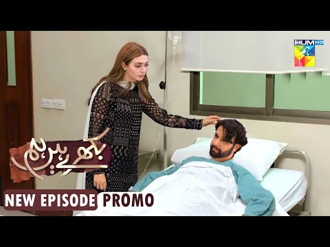 Sarim Mujhe Maaf Karden - Drama Bikhray Hain Hum || Wed To Fri 9PM - Epi 41 || Promo Review