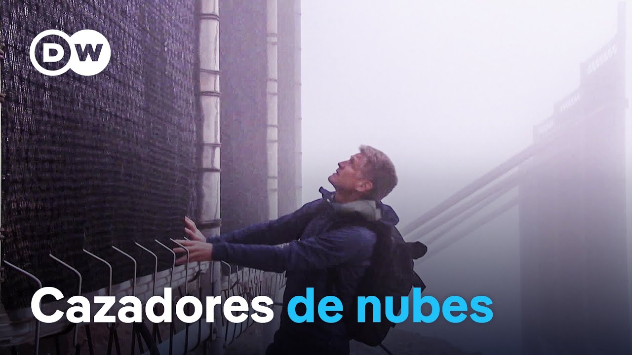 Agua potable de la niebla - Atrapanieblas contra la sequía | DW Documental