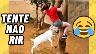 TENTE NÃO RIR IMPOSSÍVEL 😂 - OS MELHORES memes e VÍDEOS ENGRAÇADOS 2026 #memes #comedia #110