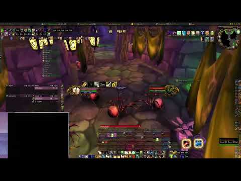 Post-Anub Paladin petri skip pull - Naxxramas - WoW 20th Anniversary classic