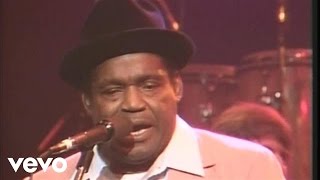 Stephen Stills & Willie Dixon - Hoochie Coochie Man