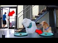 THE GOOD BOY CHALLENGE Will Dogs Steal The Food