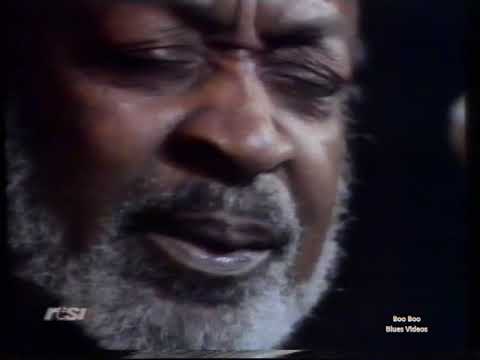 0070 Johnny SHINES & Robert LOCKWOOD Jr - Lugano 1982