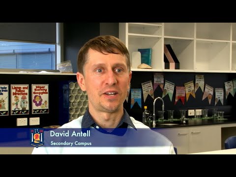 Meet our Staff - David Antell