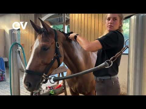 JOYCE MESSIPIERRE -QUOTIDIEN