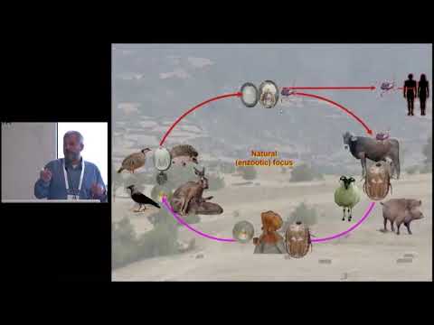 28 endemik ulkelerde keneler ve hayvanlarda kkka virusu