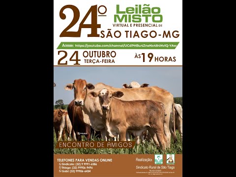 24º LEILÃO  SINDICATO RURAL DE SÃO TIAGO MG