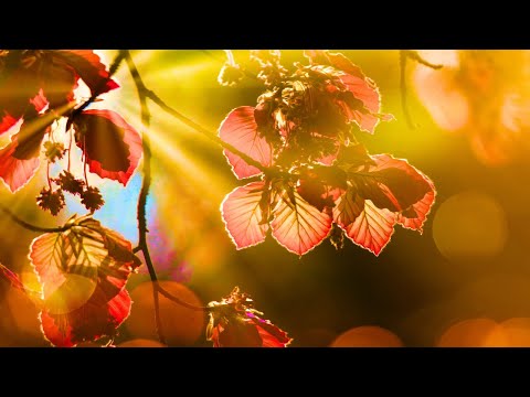 Ich kenne dich mit deinem Namen - Uwe Sauer (*special version)