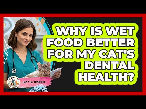 Why Is Wet Food Better For My Cat's Dental Health? - Happy Cat Handbook