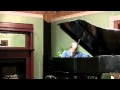 George Winston Blues