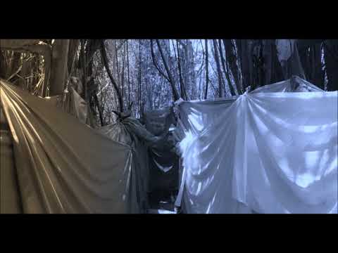 Mangataka Varavarana