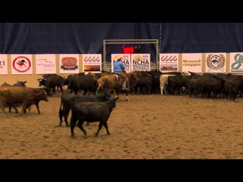 Catlena Rey and Steve Schlesinger — 2015 Western Nationals Open Champions