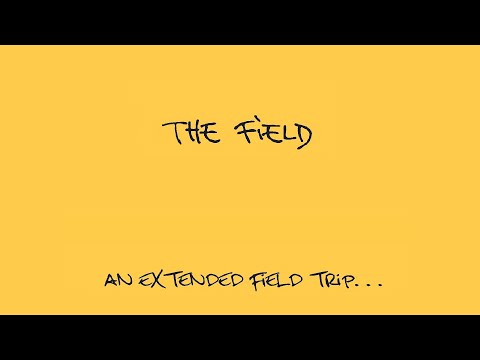 Mix 24: The Field - 2006-2018 "An Extended Field Trip" (Kompakt Records)