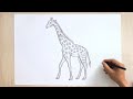 Giraffe Drawing 🦒