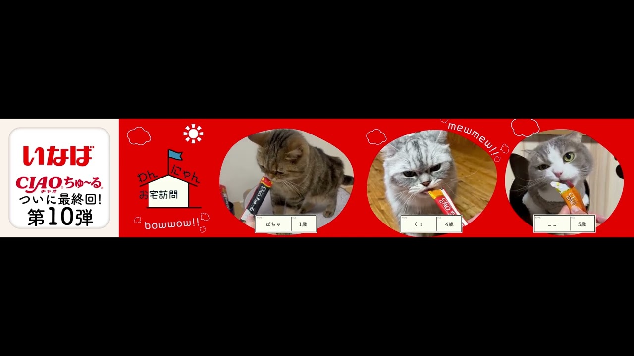 わんにゃんお宅訪問withちゅ～る 第10弾 Part2