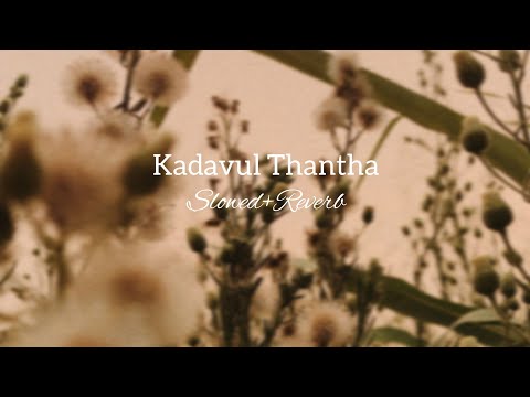 Kadavul Thantha ~[slowed+Reverb]~pradeepKumar,Saindhavi #kadavulthantha