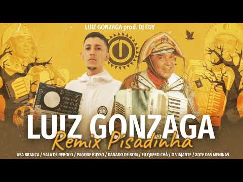 LUIZ GONZAGA - REMIX PISADINHA ( LUIZ O PODEROSO CHEFÃO , DJ EDY )