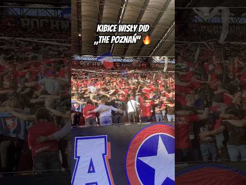 WISŁA KRAKÓW ROBI „POZNAŃ” 🔥 #wisłakraków #wisła
