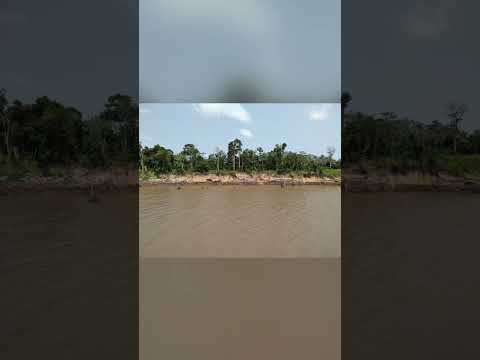 Benjamin Constant. Amazonas Brasil