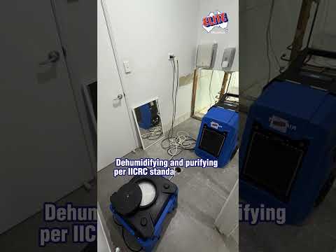 Mould Problem?