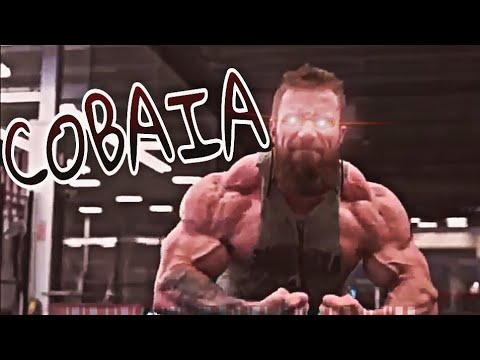 LUCAS P - COBAIA [Feat.Notturno x Malovi] RAP MAROMBA - MOTIVAÇÃO BODYBIULDER
