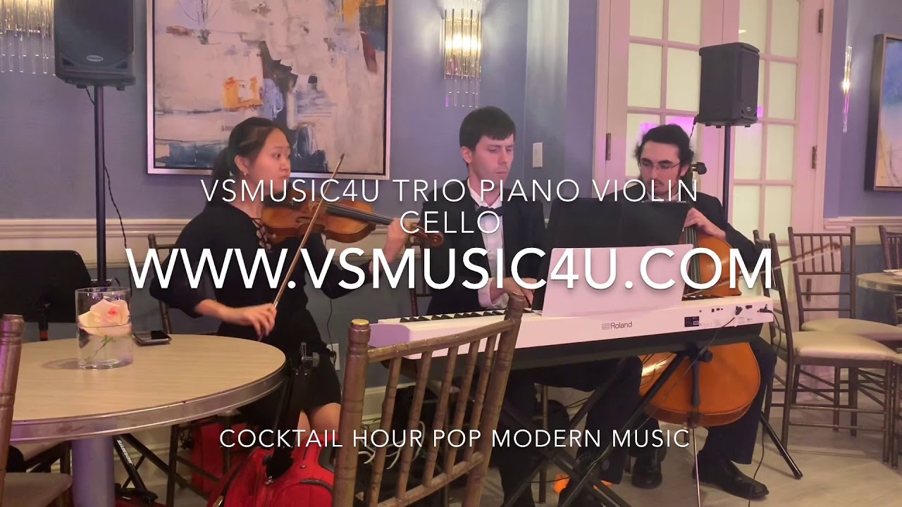 Promotional video thumbnail 64 for VSmusic4u Wedding & Event Musicians