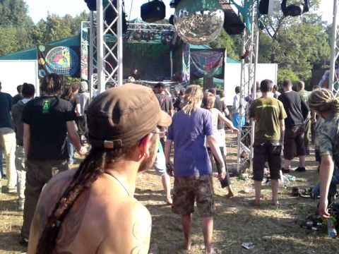 Psycrowdelica 2010