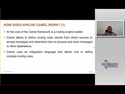 Financial Data Integration Webinar - Catalin Tudose