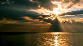 Derek Miller - Call An Angel Down