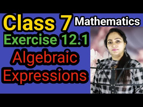 Class 7, Mathematics, Exercise 12.1, Algebric Expressions