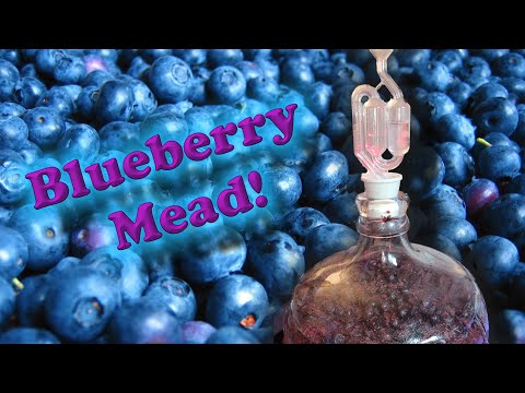 My Mead Diaries - Ep 4, Blueberry Mead (technically a melomel)!