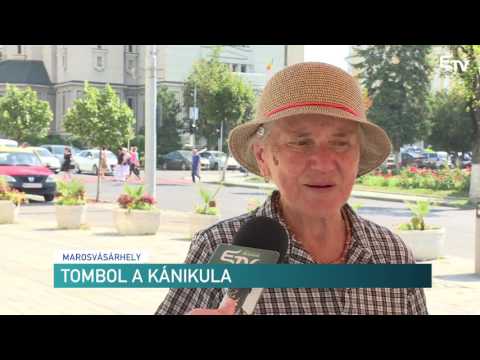 Híradó 2017. augusztus 4. – Erdélyi Magyar Televízió