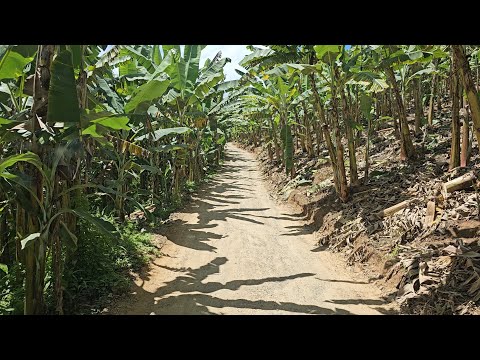 CIDADE DE MACHADO, NO AGRESTE SETENTRIONAL, DE PERNAMBUCO. 