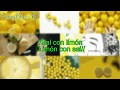 Sal Con Limón - Chichi Peralta (Letra)