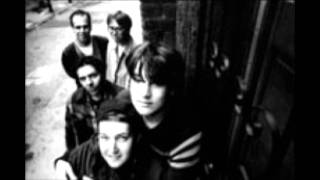 Lilys - Excelsior Plainside