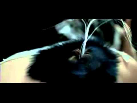 Videoclip de Unravel — Björk