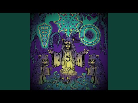 Descent into Madness