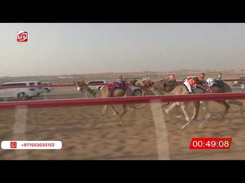  ش 19 (انجاز) لـ سلطان حمد مطر بن عميره الشامسي 2:09 ، شارة الصندوق 2026/07/13 فطامين الروضة