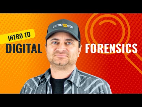 Digital Forensics Certification Board (DFCB) | Vibepedia
