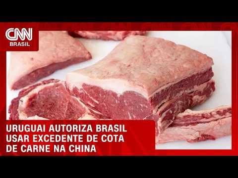 Uruguai autoriza Brasil usar excedente de cota de carne na China, diz Lula | CNN AGRO NEWS